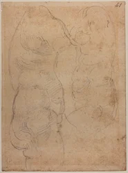 Two Studies of an Ancient Venus