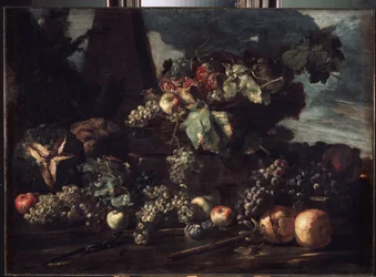 Still Life with Grapes
