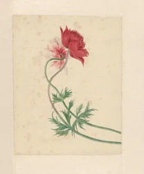 Two Branches Each with a Flower