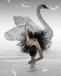 Black Swan Ballerina