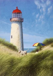 Day in the Dunes