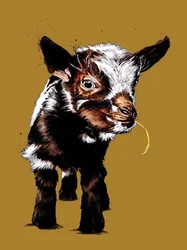 Baby Goat on Golden Yellow, 2020