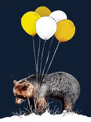 Birthday Bear on Midnight Blue
