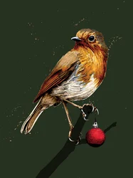 Christmas Robin on Forest Green