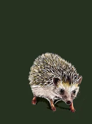 Kimchi The Hedgehog