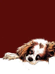 Meg the Spaniel on Red Oxide, 2020