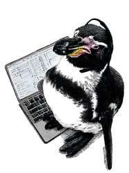 New Job Penguin on White