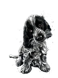 Rosie The Cocker Spaniel