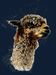 The Alpaca on Midnight Blue