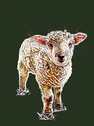 The Lamb on Forest Green