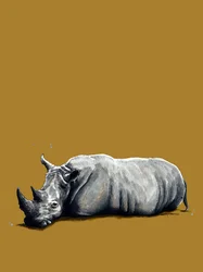 The Rhino on Golden Yellow