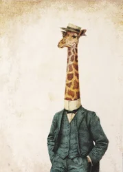 High Class Gentleman