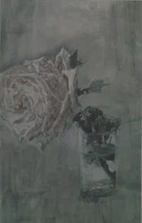 A Rose