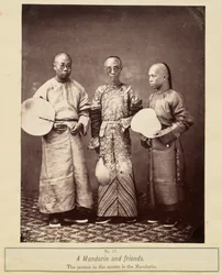 A Mandarin and Friends