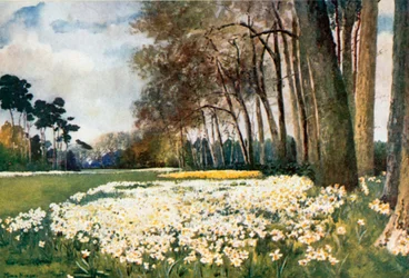 The Park, Sandringham