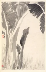 Banana Plants, 1788
