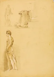 Studies of Sculante
