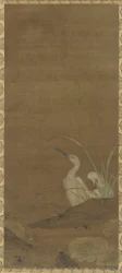 Herons and Water Plants