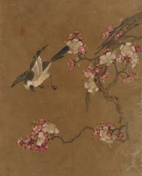 Ten pictures of birds and flowers
