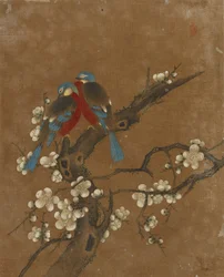 Ten pictures of birds and flowers