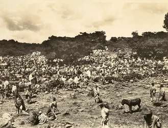 Building an Empire in the Fascist age: Abyssinian market