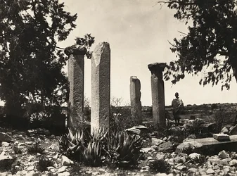 Building an Empire in the Fascist age: Axum remains at Cohaito