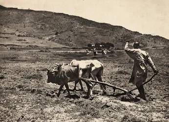 Building an Empire in the Fascist age: ploughing on the altopiano