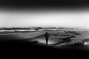 Solitary Beach Walk