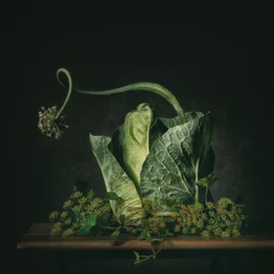 Moody Green Still Life
