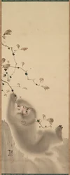 Monkey Hanging on to a Branch