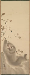 Monkey Hanging on to a Branch