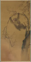 Monkeys in a Cherry Tree, Monkeys on a Rock Ledge