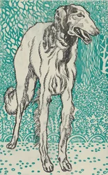 Greyhound