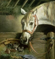 Horse and kittens