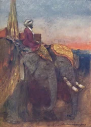 Jaipur Elephants