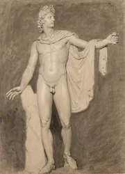Cast of the Apollo Belvedere