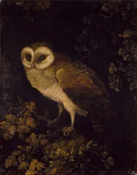 An Owl, 1780-90