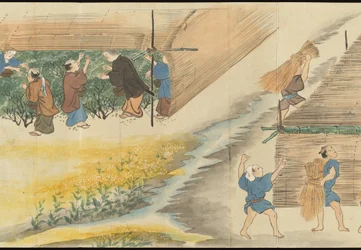 Illustrations of Uji Tea Production
