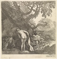 Bathing Woman Seen from Behind