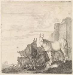 Donkeys by a Wall (Quadrupeds)