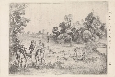 Native Americans Picking Tobacco