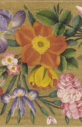 Page from the St. Petersburg Album, India, 1727