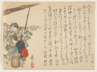 Tea Pickers