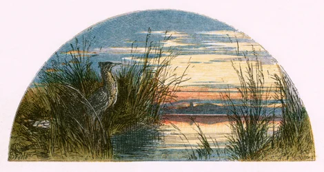 Illustration for 