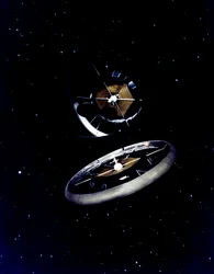 Model of the torus colony