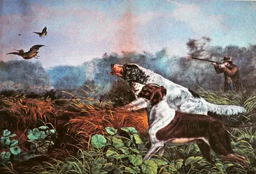 American Field Sports: A Chance for Both Barrels