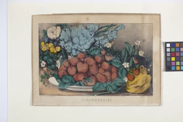 Strawberries