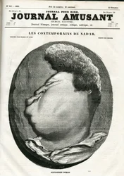 Cover of The Fun Journal