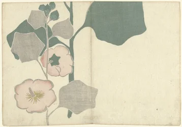 Hollyhock from the Series 