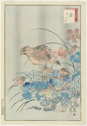 Two Quails in Bush, 1859